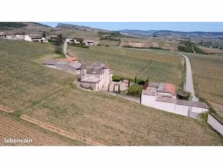 à louer - local avec charme au cœur des vignes