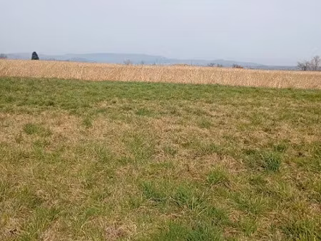 vente terrain 884 m² à preaux (07290)  60 000 €