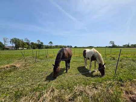vente maison à plonéour-lanvern (29720) : à vendre / 120m² plonéour-lanvern
