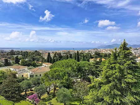 3 pièces cannes oxford