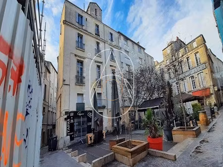 studio ecusson