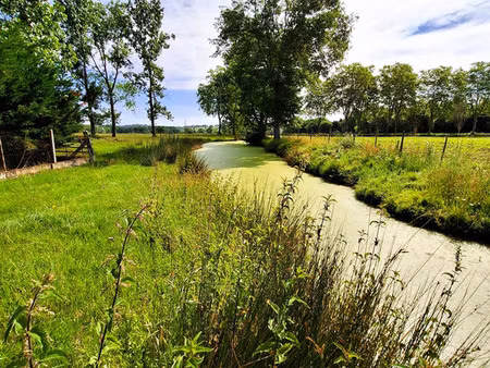 corps de ferme à aménager avec dépendances et plus de 7 000 m² de terrain plaisance-du-ger