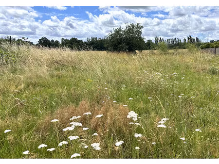 terrain constructible de 590 m² viabilisé à montauban secteur birac