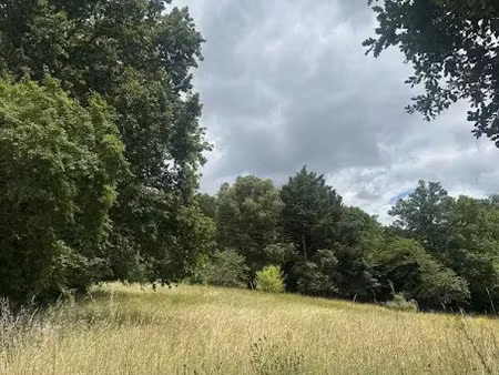 vente terrain 3855 m² à sarlat-la-caneda (24200)  81 400 €