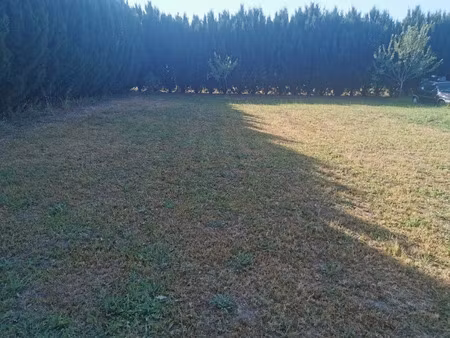 vente terrain 1000 m² à toulenne (33210)  102 000 €