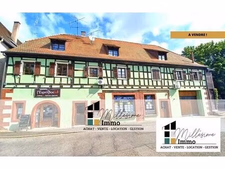 prestigieux immeuble de rapport en vente à saverne  france
