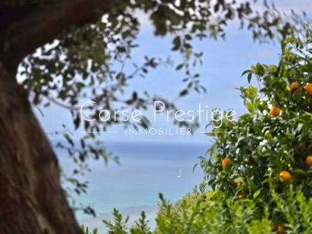 villa de 5 chambres de luxe en vente saint-florent  corse