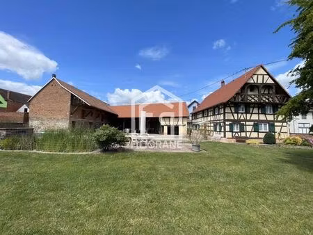 maison de luxe de 5 chambres en vente à saessolsheim  france