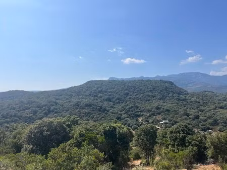grand terrain avec belle vue dégagée à figari
