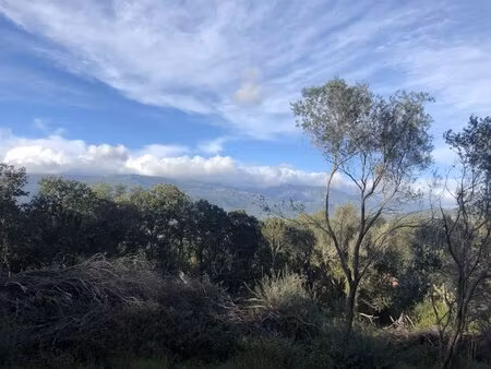 très beau terrain vue montagne à figari avec pc accordé pour villa avec piscine et pool...
