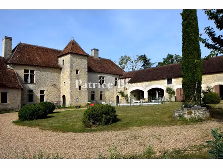 vente château 13 pièces 600 m² à genillé (37460)  850 000 €