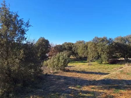 vente terrain 1000 m² à vinon-sur-verdon (83560)  162 000 €