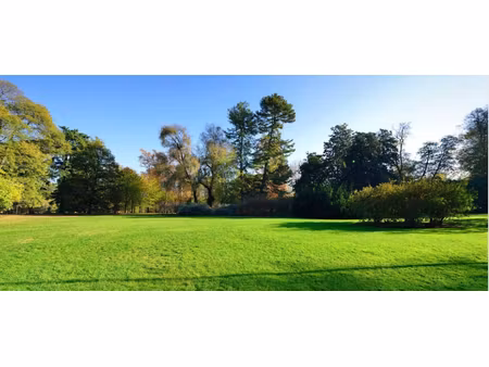 vente terrain à batir 582 m² à montfort-l'amaury (78490)  220 000 €