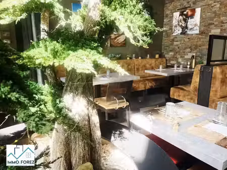 vente locaux professionnels 0 pièces 237 m² à feurs (42110)  180 000 €