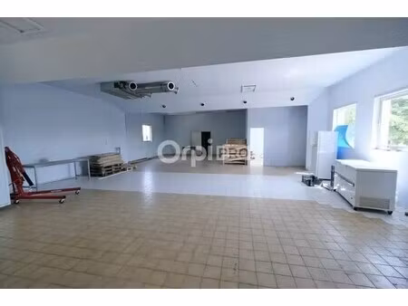 location local d’activités bouaye 44830 233m²