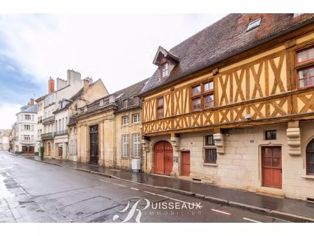 dijon - centre ville