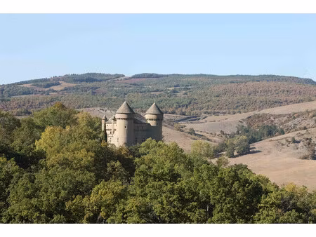 chateau à vendre à rivière-sur-tarn (12640) - aveyron