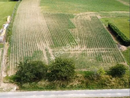 terrain 1070 m² montcony