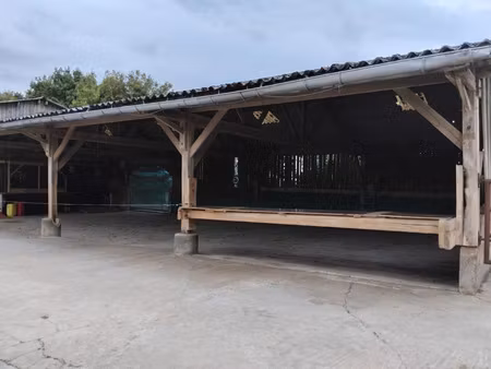 propriété à vendre hauterive 13 pièce(s) 385m2 560 000€