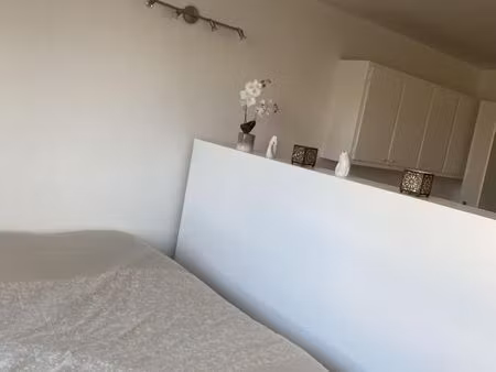studio 1 pièce 35 m²