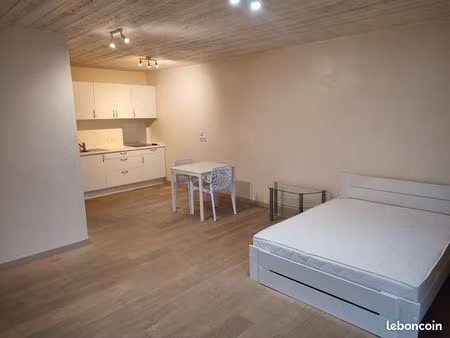 grand studio meublé proche de la frontière