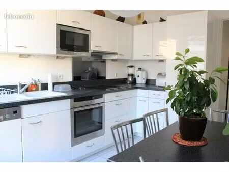 t2 récent 52m2 en partie meublé proche jean macé / parc sergent blandan
