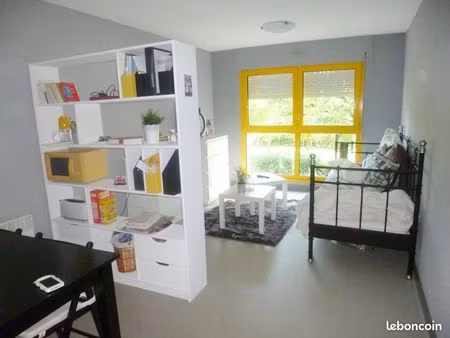 studio 1 pièce 28 m²