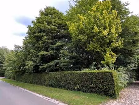 deux terrains à bâtir à vendre dans un quartier recherché