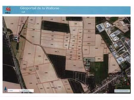 terre agricole à vendre sur hacquegnies
