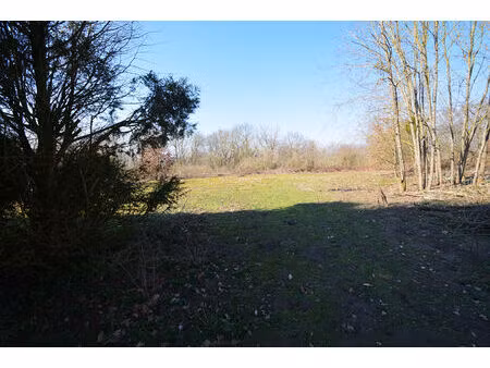 exclusivité terrain constructible monceau les leups 11798 m2