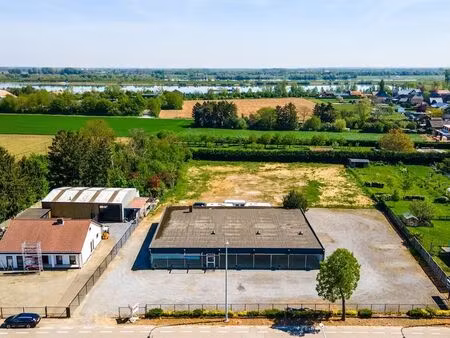 bien professionnel à vendre à rotem € 797.000 (lowvp) - heylen vastgoed - genk | zimmo