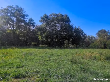 terrain 1 000 m² rians