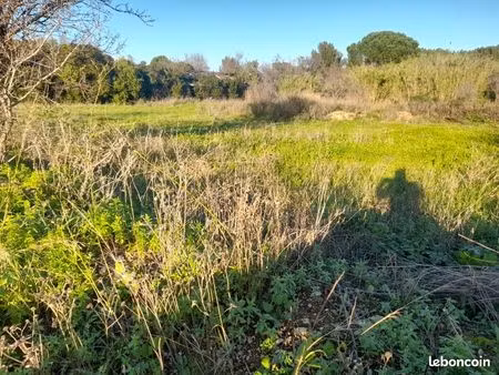 terrain 795 m² sollies pont