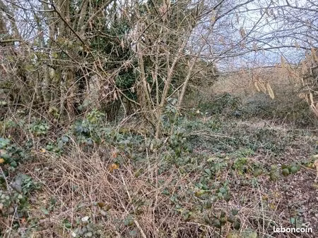 terrain de loisir