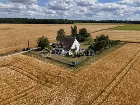 maison de 160 m² à pers-en-gatinais