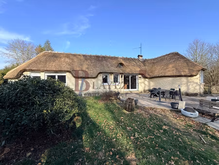maison avec toit de chaume  terrain de 9 066 m2 et belles pr