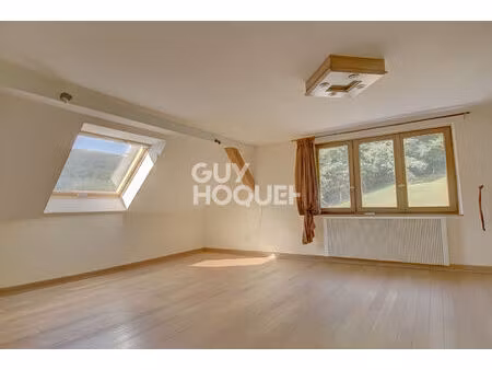 appartement 3 pièces à maisonsgoutte