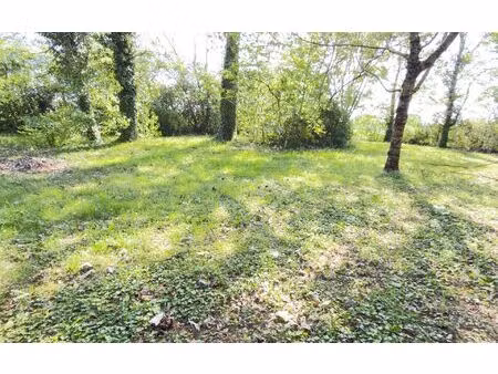 terrain auzeville-tolosane m² t- à vendre  177 000 €