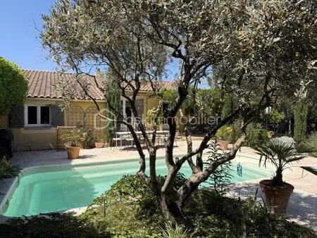 mallemort de provence (13370) – le charme authentique entre luberon et durance - villa ple