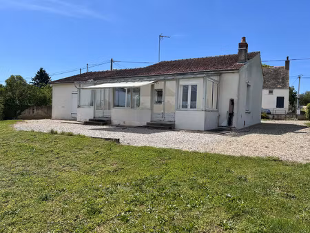 maison avec grand terrain