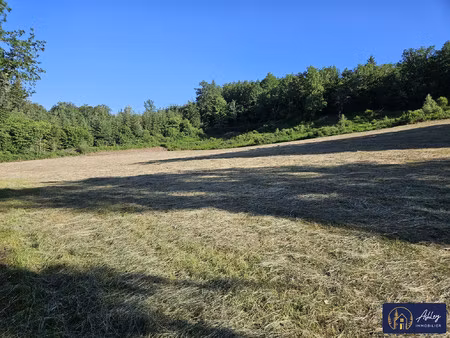 terrain à vendre ambrugeat