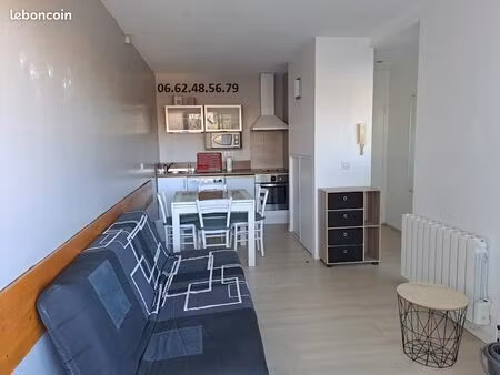 t1bis rénové avec terrasse  parking couvert et cave - pau