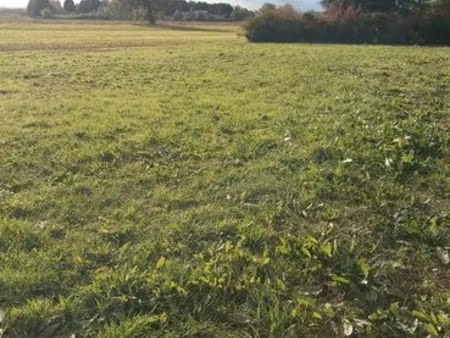 terrain constructible