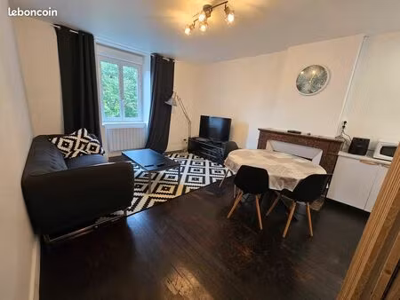 beau t2 (54m²) centre ville  sécurisé  calme coté jardin