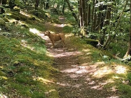 location longue durée