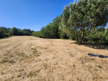 vente terrain à saint-étienne-de-brillouet (85210) : à vendre / saint-étienne-de-brillouet
