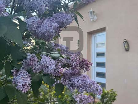 lilas