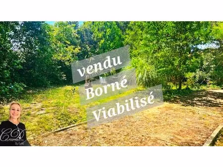terrain viabilisé