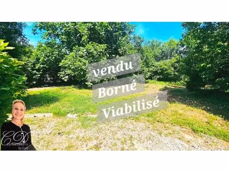 terrain viabilisé