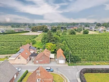 terrain à bâtir à vendre à nieuwegestraat 69 zottegem (rbw12269)